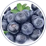 Envasado de arandanos