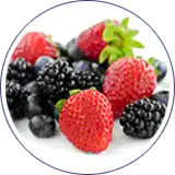 Envasado de frutos del bosque