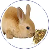 Envasado de alimento para mascotas - conejos