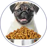 Envasado de alimento para mascotas - perros