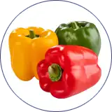 Linea para Envasado de Pimientos Tricolor