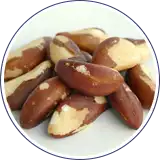 Envasado de Nueces de Brasil