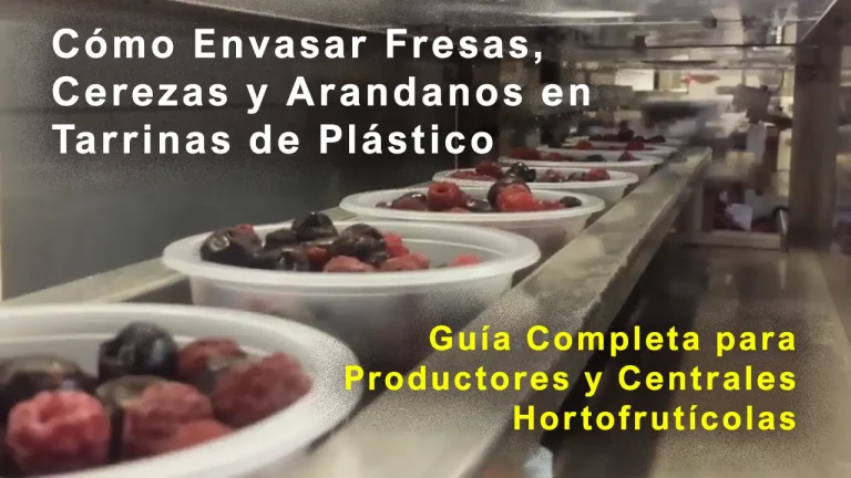 Cómo Envasar Fresas, Cerezas y arandanos en Tarrinas de Plástico: Guía Completa para Productores y Centrales Hortofrutícolas