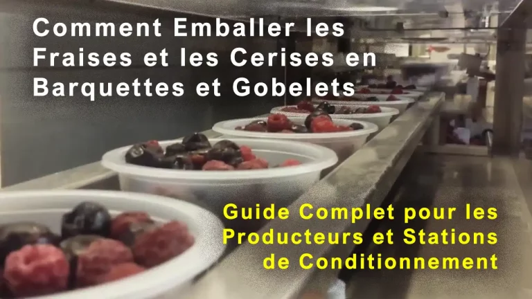 Comment Emballer les Fraises et les Cerises en Barquettes et Gobelets Plastiques