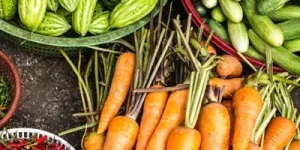 Envasadoras - Agricultura