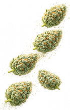 Kannapack Flores Cannabis