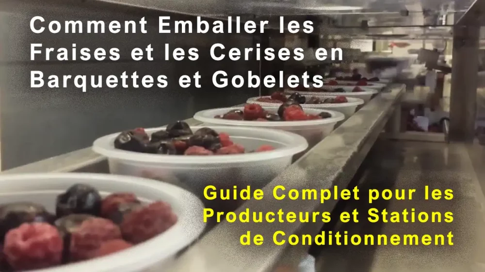 Comment Emballer les Fraises et les Cerises en Barquettes et Gobelets Plastiques