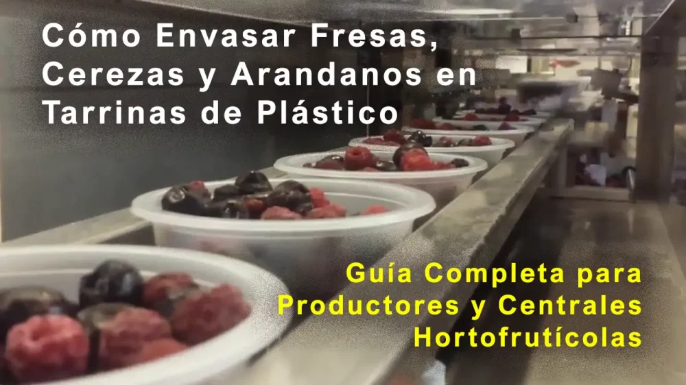 Cómo Envasar Fresas, Cerezas y arandanos en Tarrinas de Plástico: Guía Completa para Productores y Centrales Hortofrutícolas